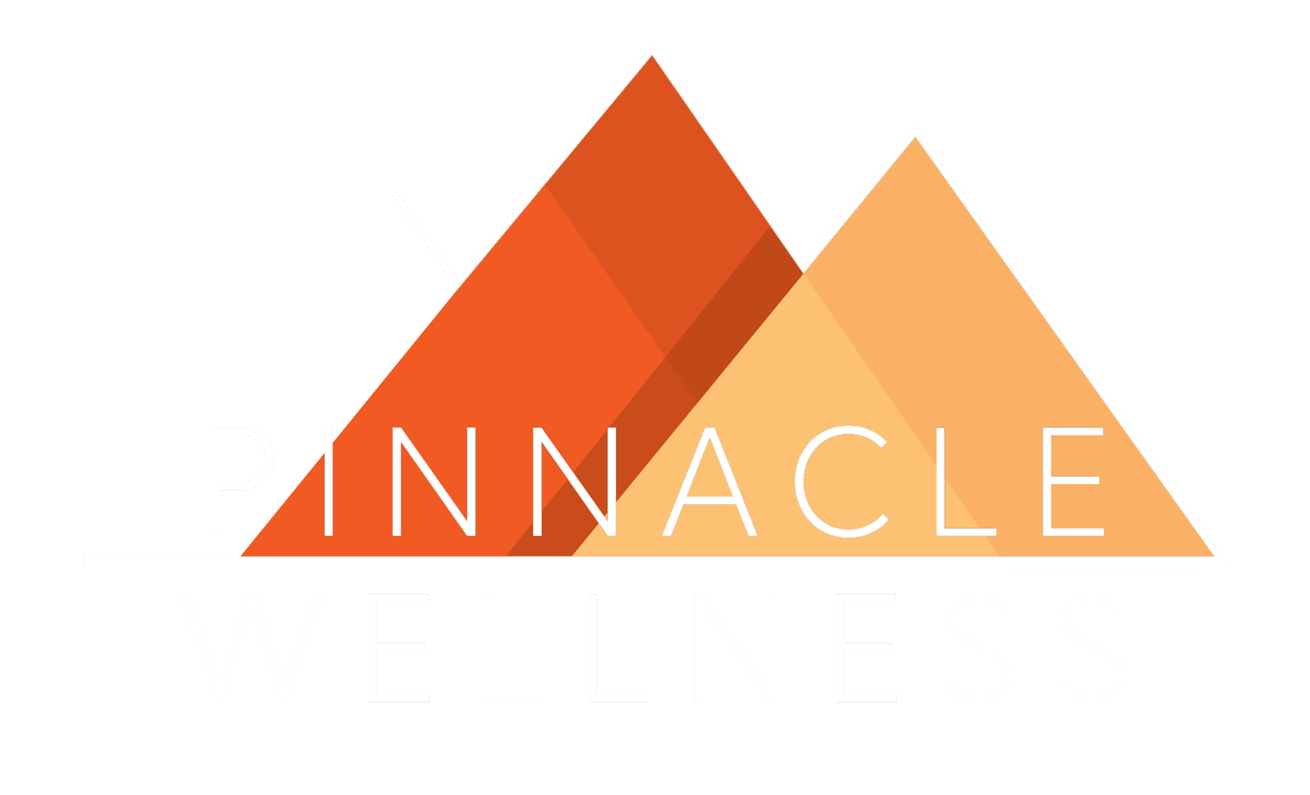 Pinnacle-Logo-1-01-WHITE